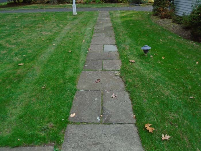 A concrete walkway going through a lush green lawn.