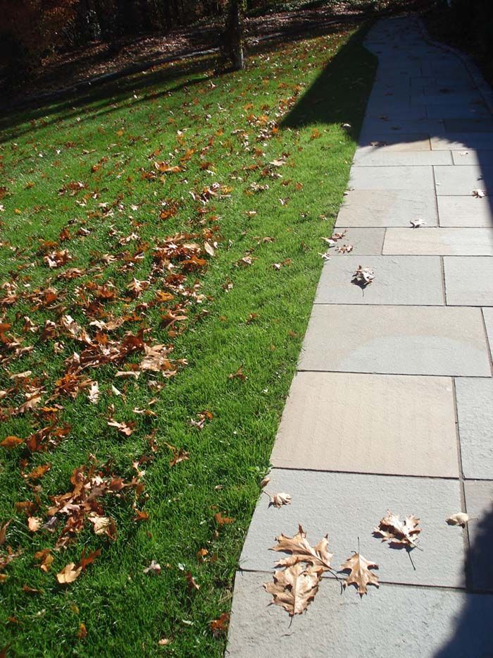 A walkway with leaves on the side of it