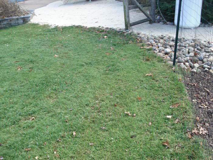 A lush green lawn is surrounded by rocks and a fence.