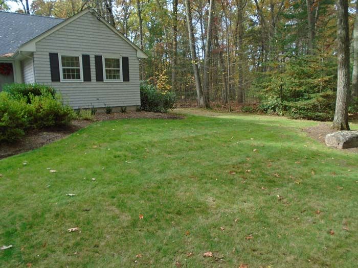 A house with a large lawn in front of it surrounded by trees.