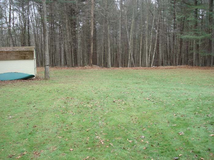 A green canoe is sitting in the middle of a lush green field.