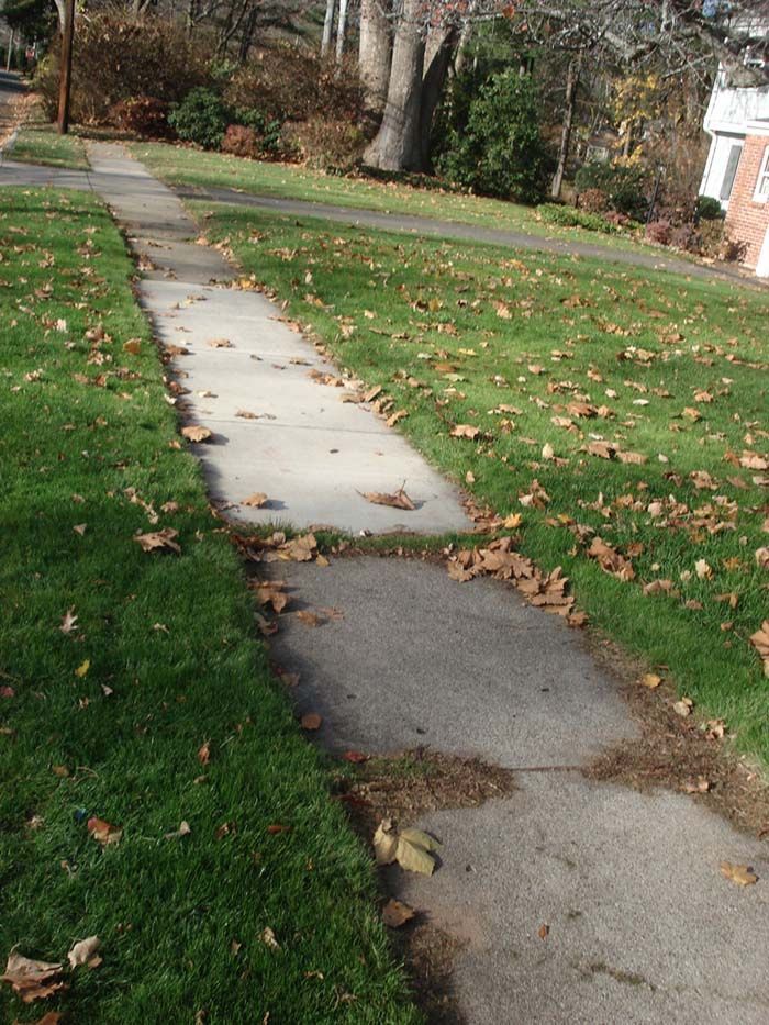 A sidewalk with a lot of leaves on it