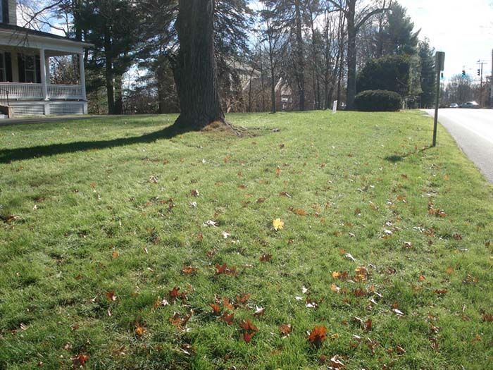 A lush green lawn with a white house in the background