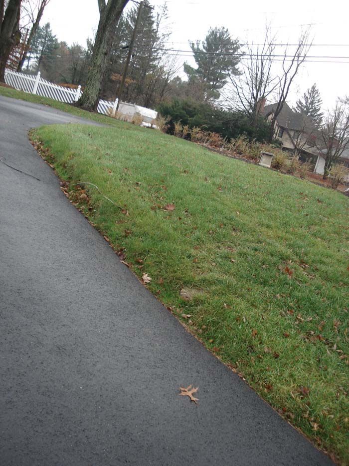 A leaf is laying on the side of a road