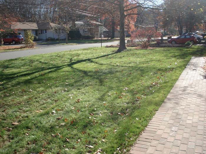 A brick sidewalk leading to a lush green lawn