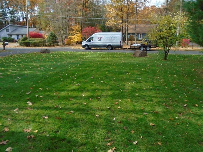 A white van is parked in front of a lush green lawn.