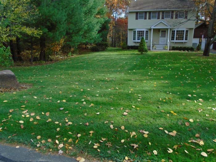 A house with a lush green lawn in front of it
