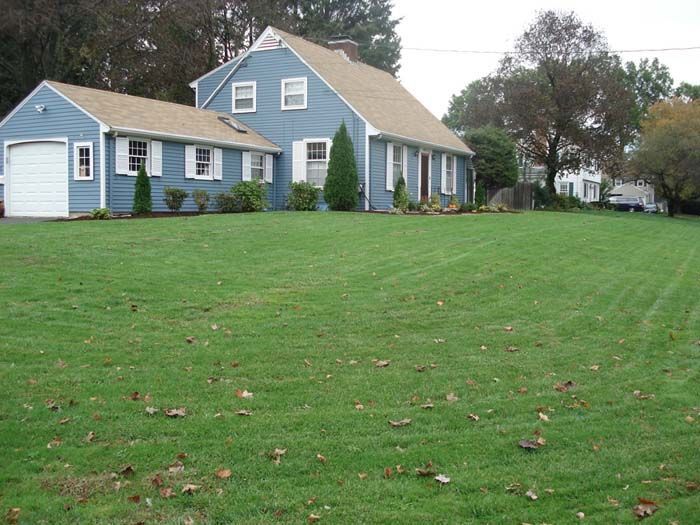 A blue house with a large lawn in front of it