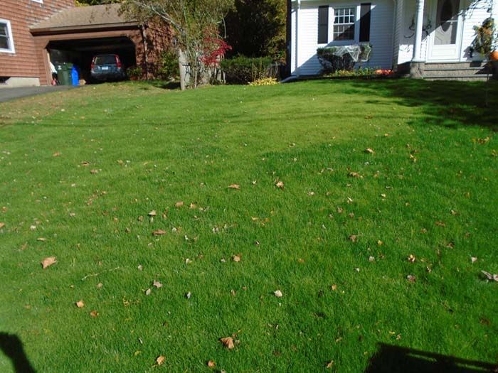 A lush green lawn in front of a house with a car parked in the garage.