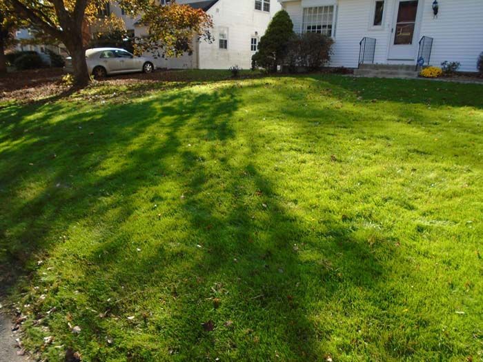 A lush green lawn in front of a white house.