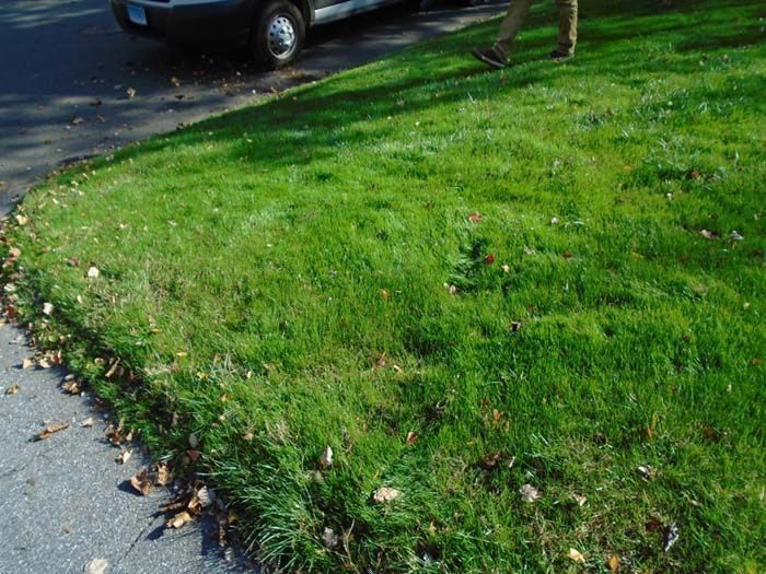 A car is parked on the side of the road next to a lush green lawn