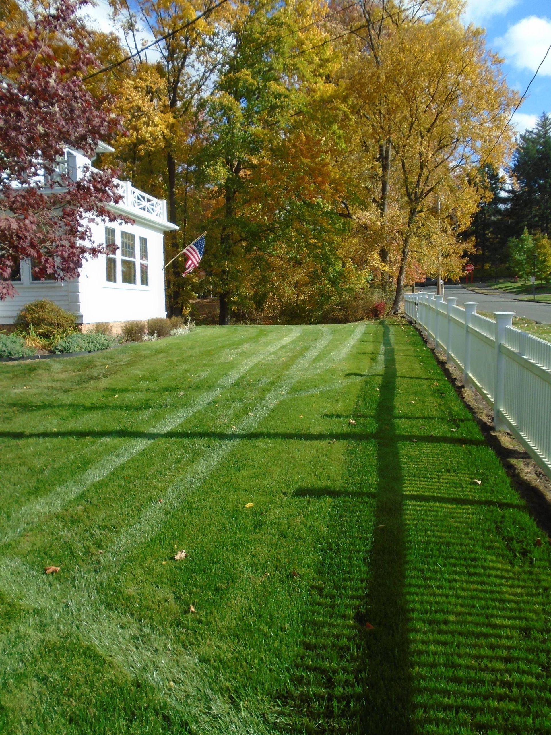 A lush green lawn with a white fence and trees in the background