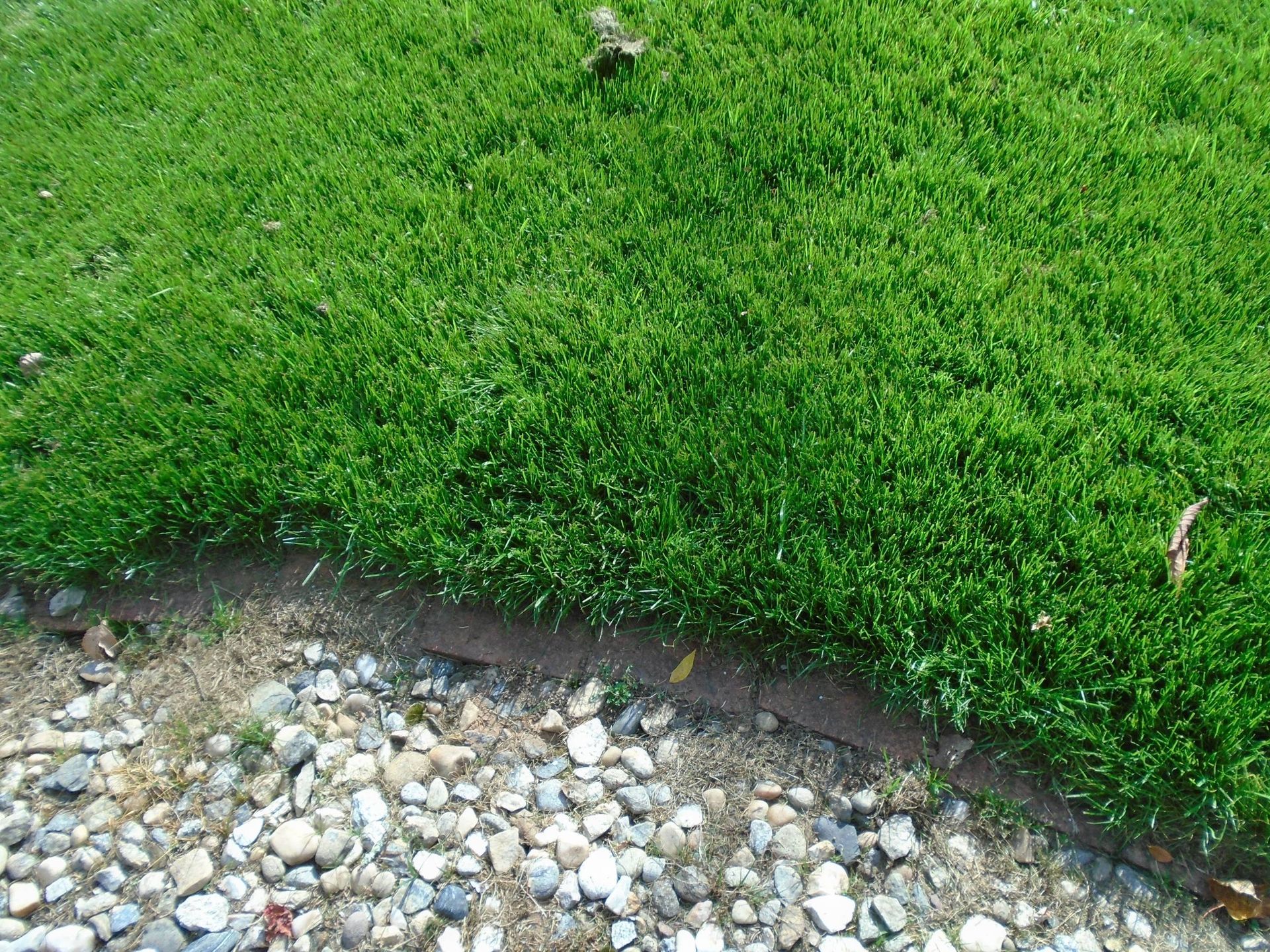 A lush green lawn is surrounded by rocks and gravel.
