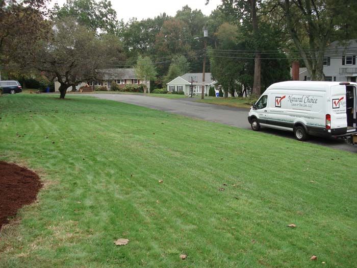 A white van is parked on a lush green lawn