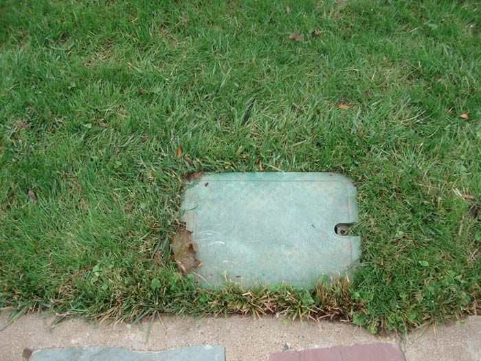 A green box is sitting in the grass next to a brick walkway.