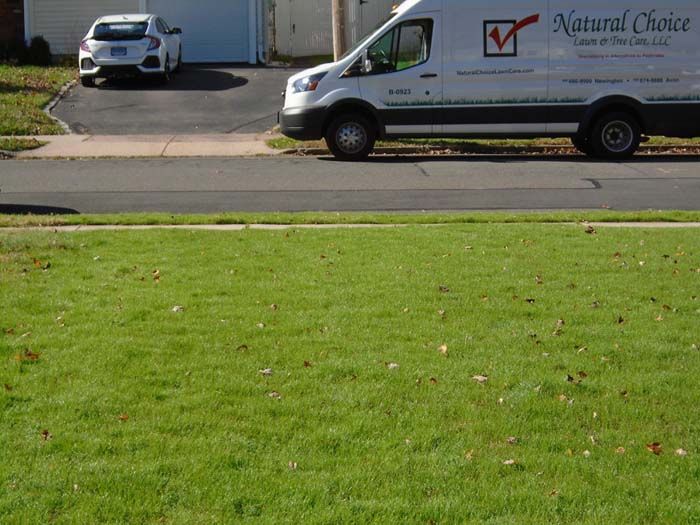 A natural choice van is parked on the side of the road