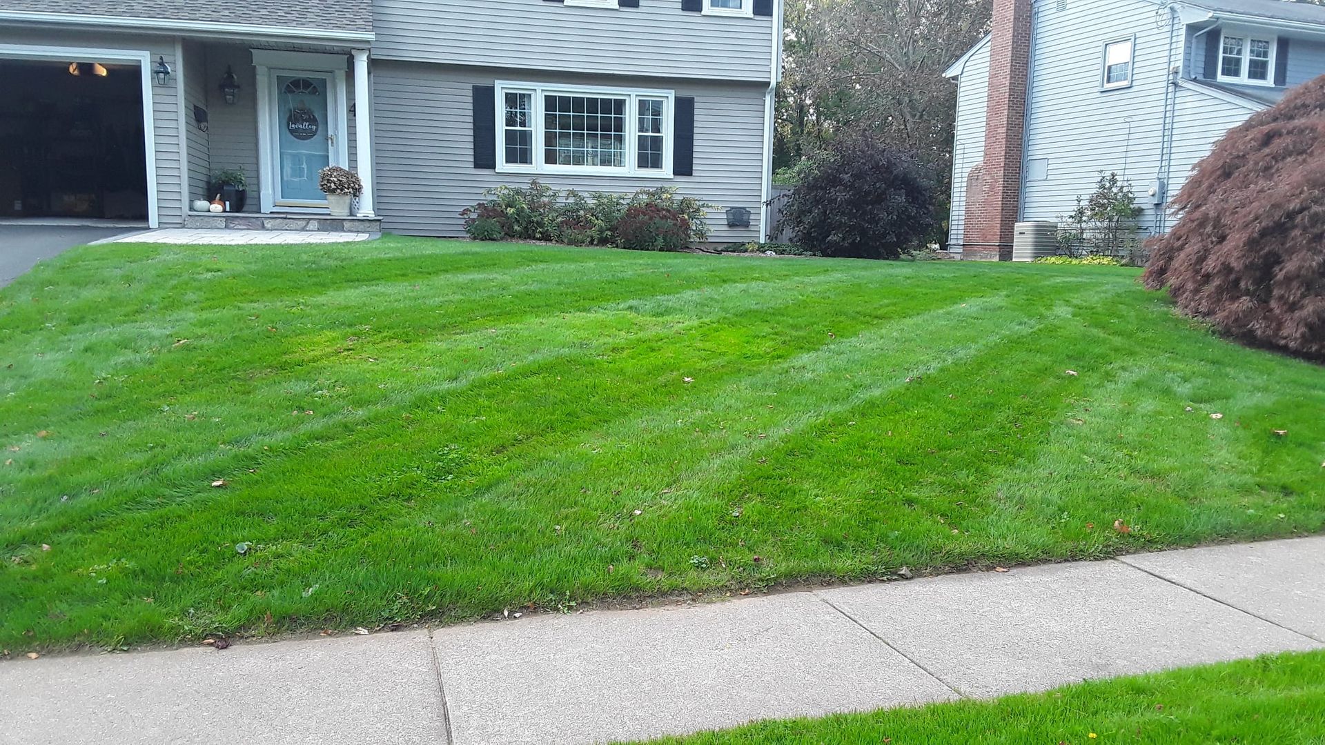 Lawn with diagonal stripes in front of a house with a blue door and sidewalk.