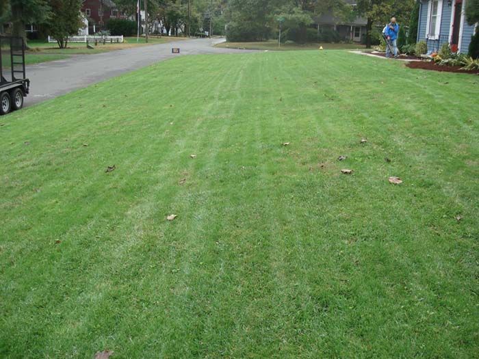 A man is mowing a lush green lawn in front of a house.