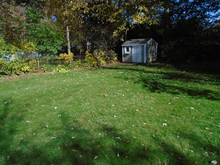A shed is sitting in the middle of a lush green yard.
