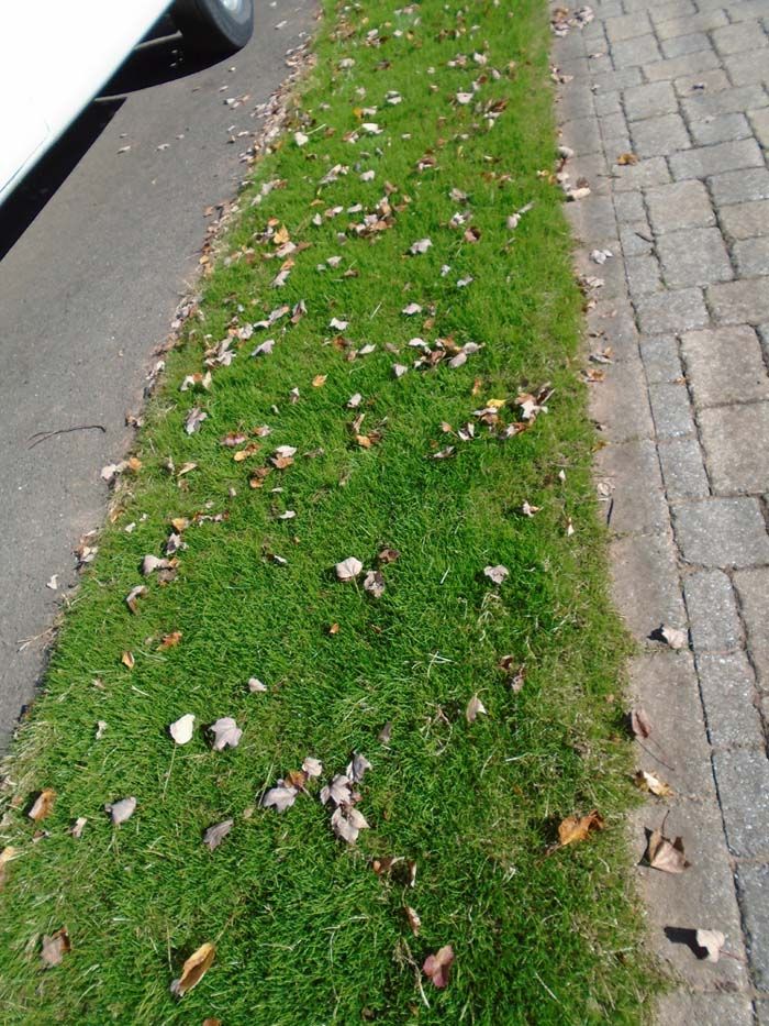 A white car is parked on the side of the road