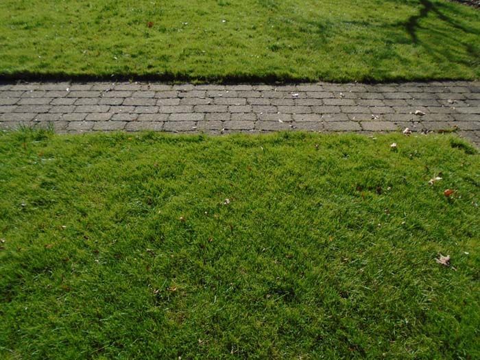 A brick walkway leading to a lush green lawn