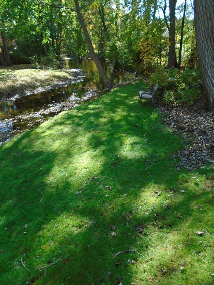 A lush green field with a river in the background