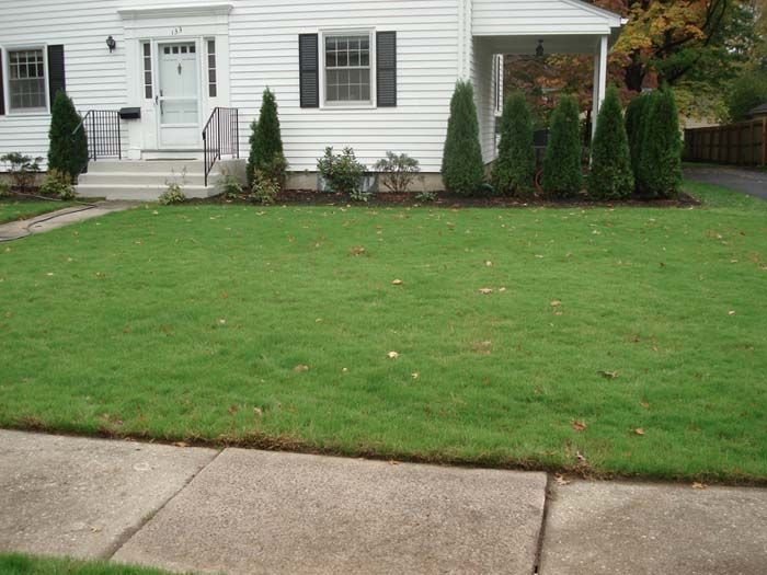 A white house with a lush green lawn in front of it