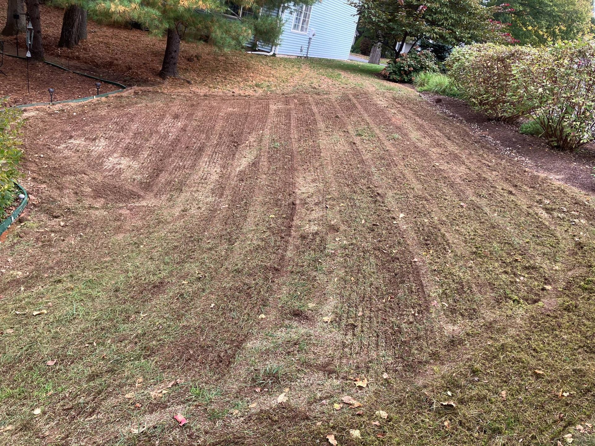 A lawn with a lot of leaves on it and a house in the background.