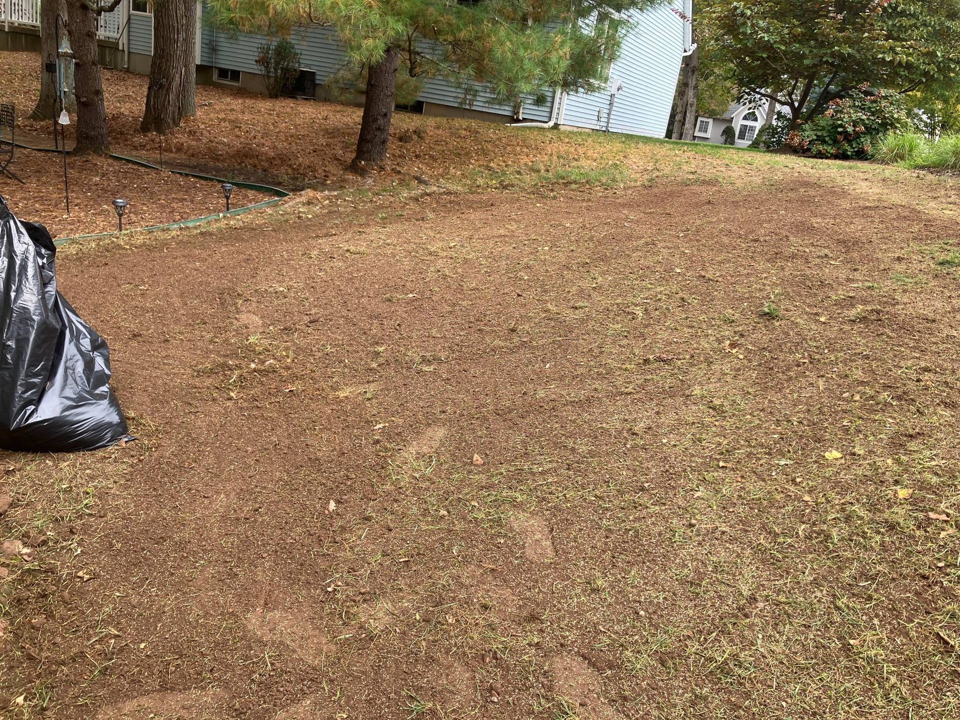 A black trash bag is sitting on top of a pile of leaves in a yard.