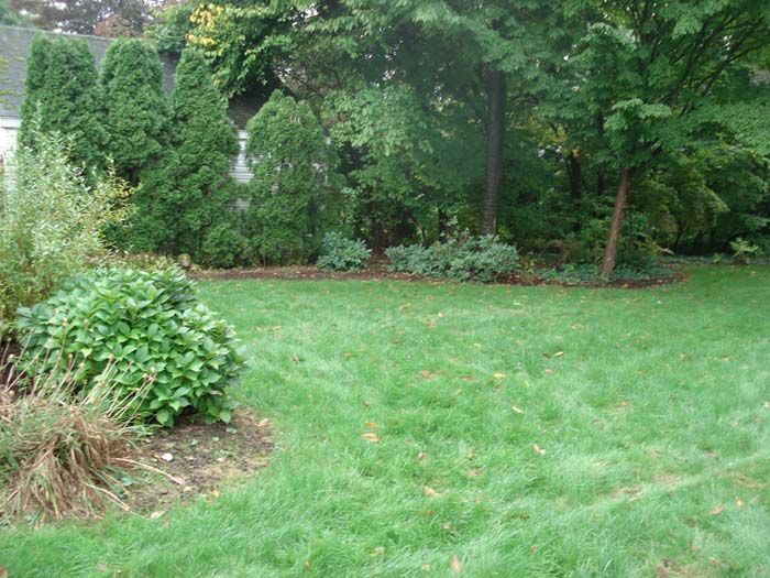 A lush green lawn surrounded by trees and bushes