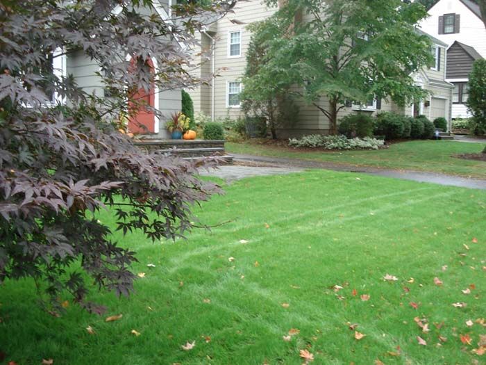 A lush green lawn in front of a house