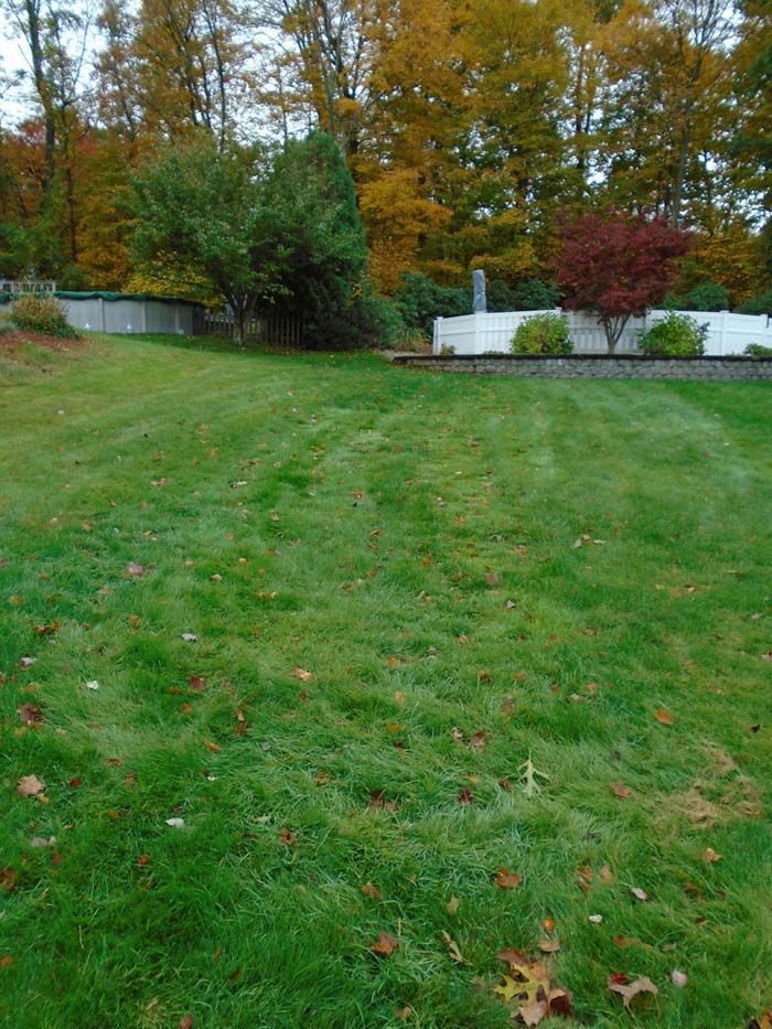 A lush green lawn with a white fence and trees in the background.