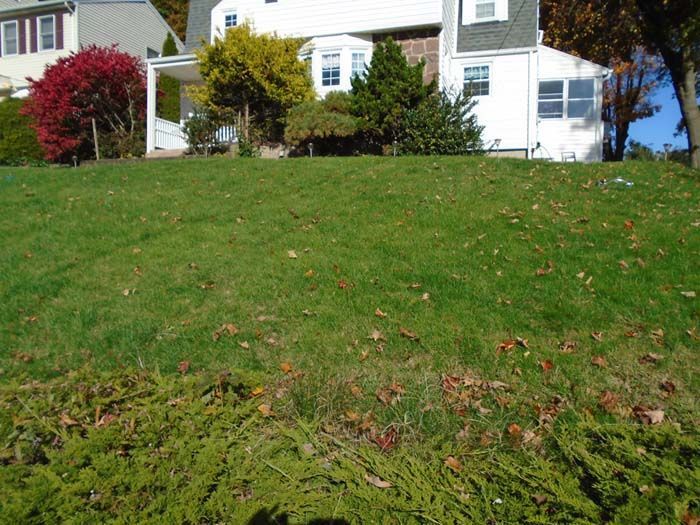 A lush green lawn with a white house in the background