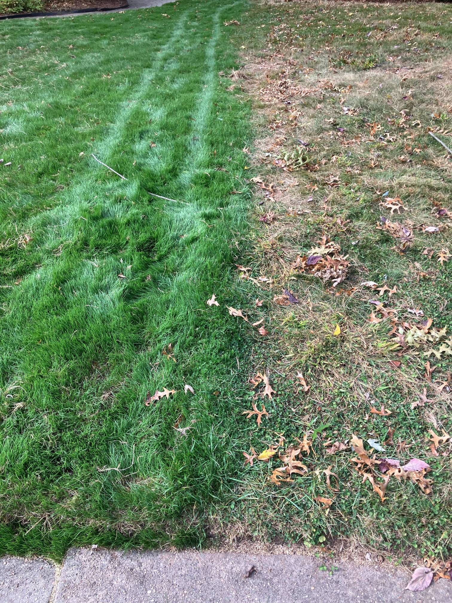 A picture of a lawn before and after being mowed.
