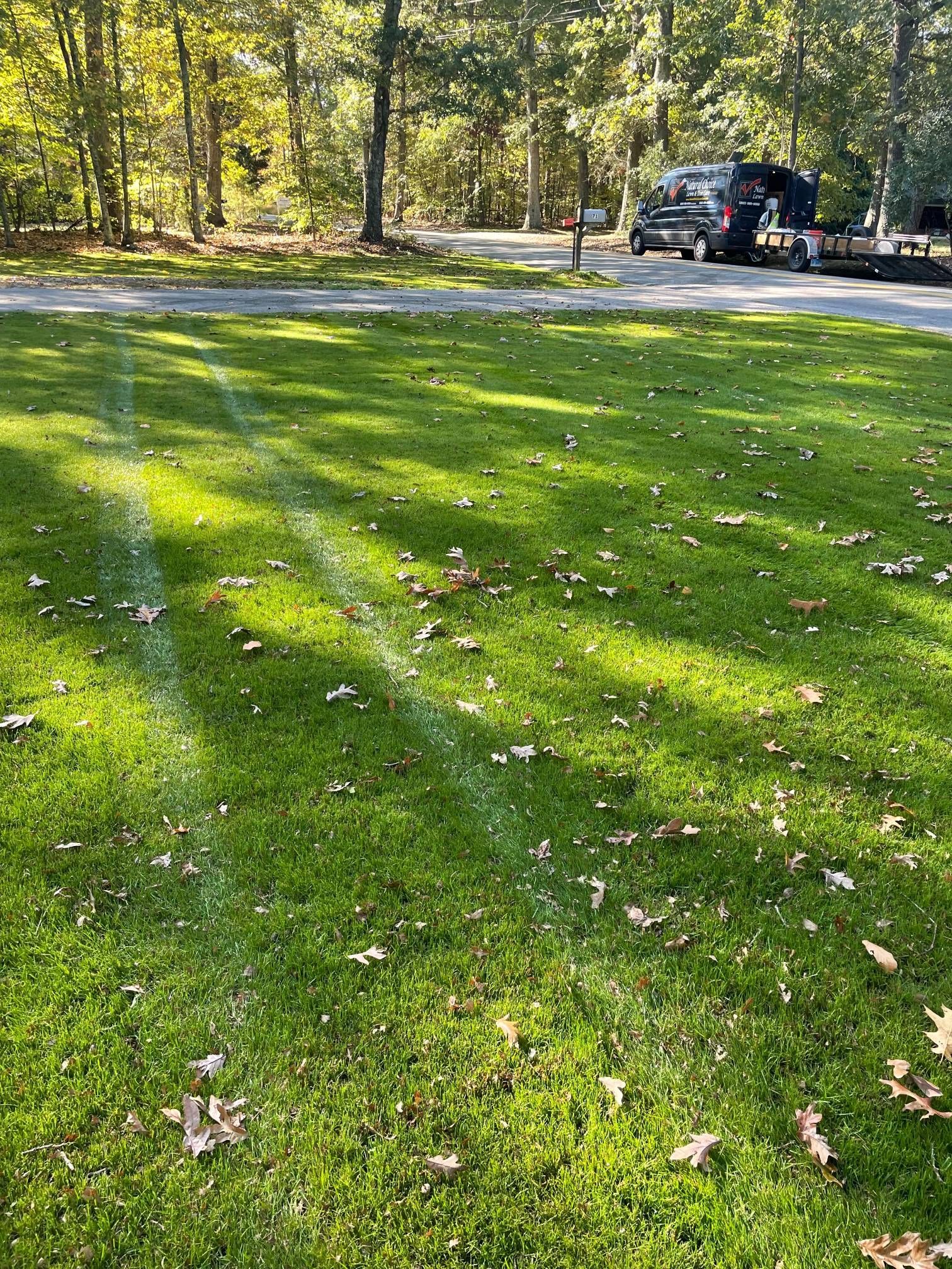 A lush green lawn with a black van parked in the background.