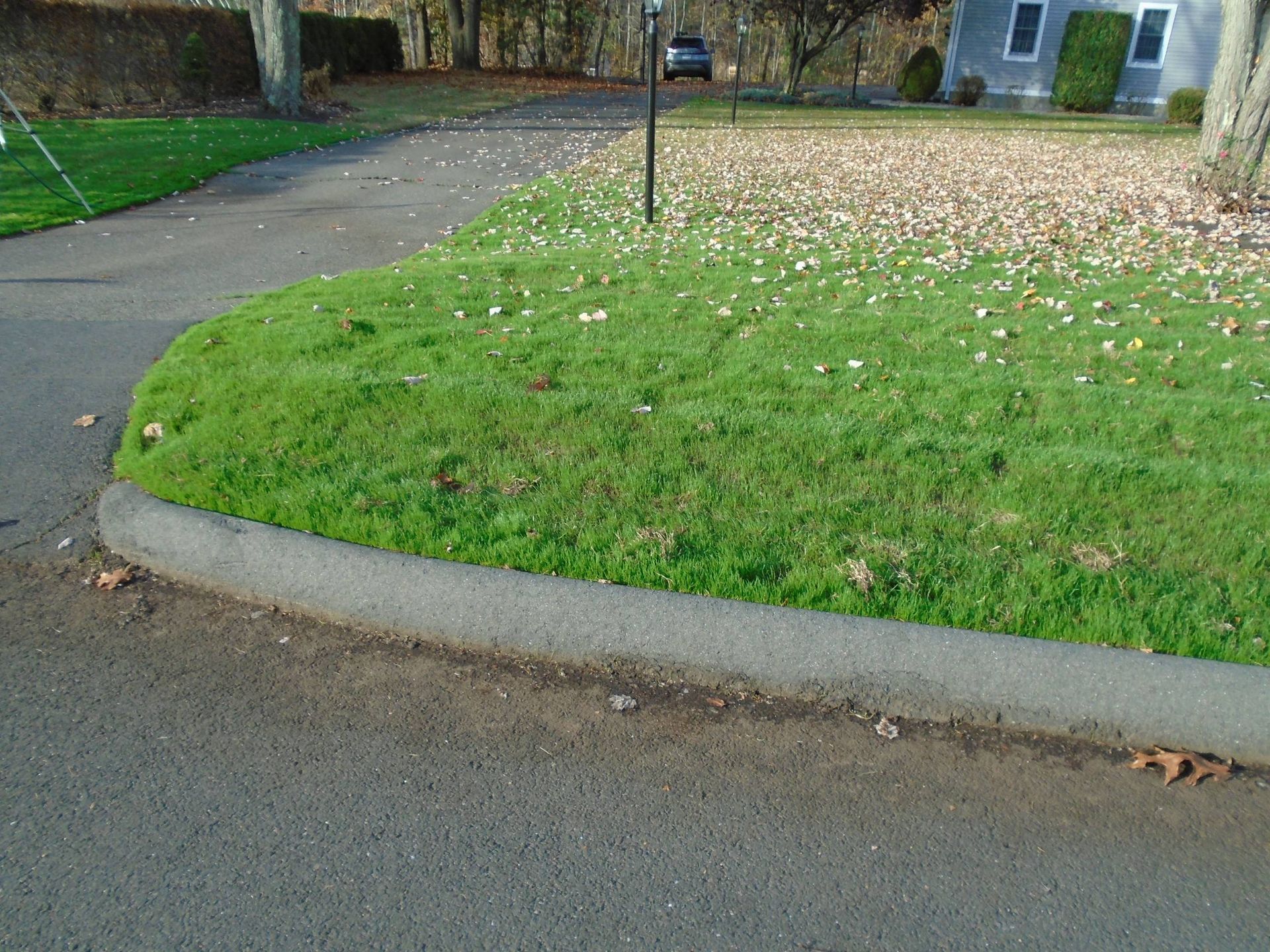 A curb is surrounded by grass and leaves on the side of the road.