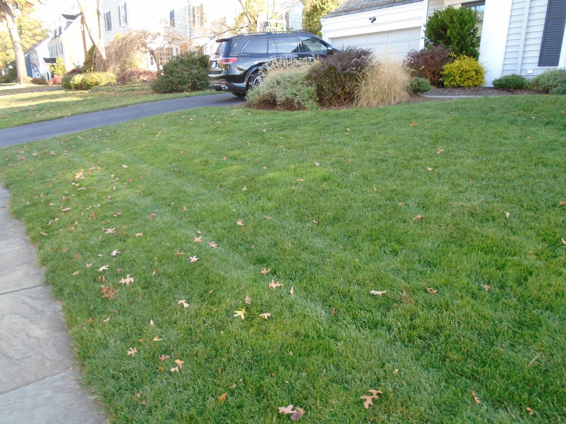 A car is parked in the grass in front of a house.