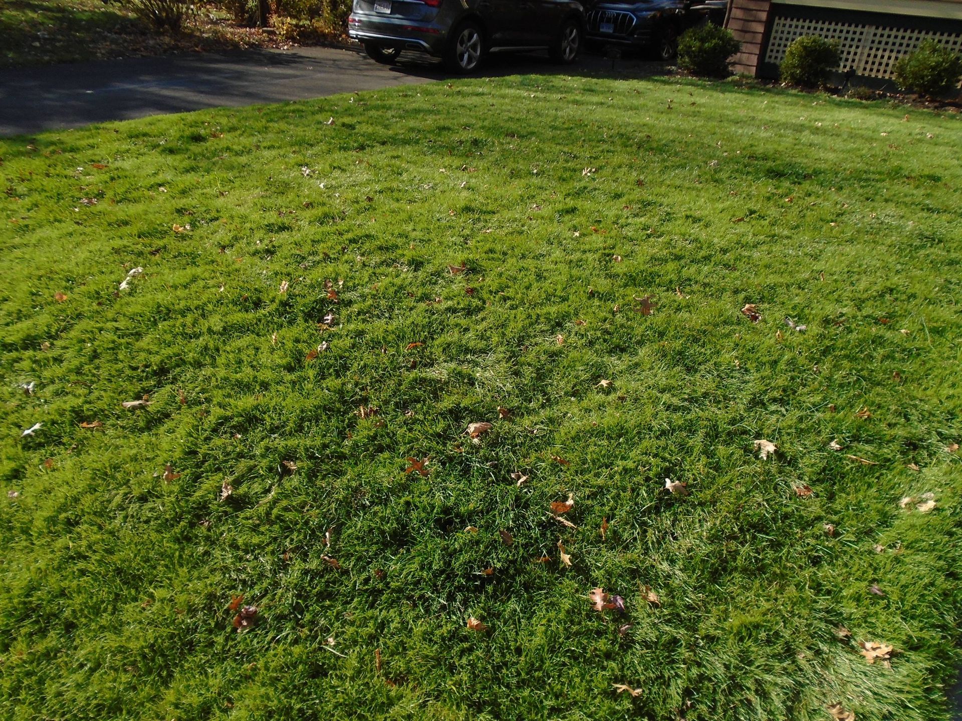 A car is parked in a driveway next to a lush green lawn.