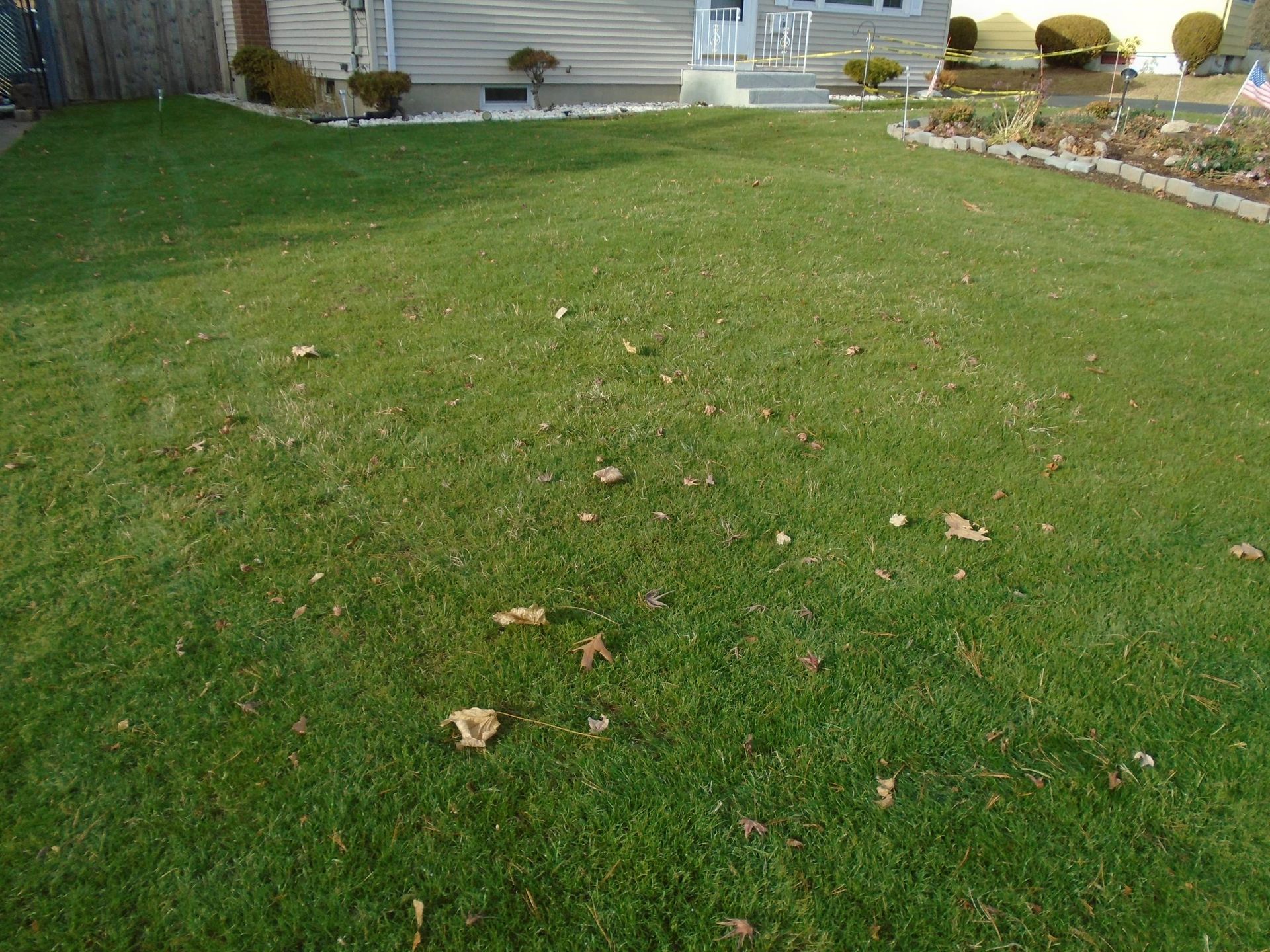 A lush green lawn with a house in the background