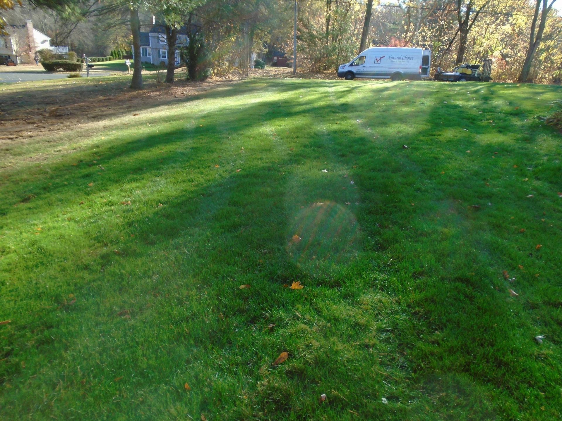 A lush green lawn with a white van parked in the background.