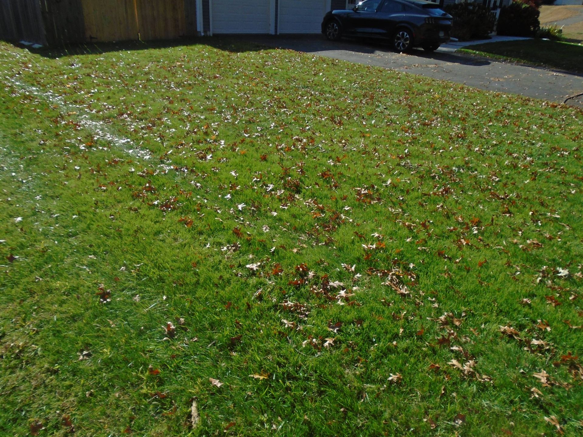 A lawn with a lot of leaves on it and a car parked in the background.