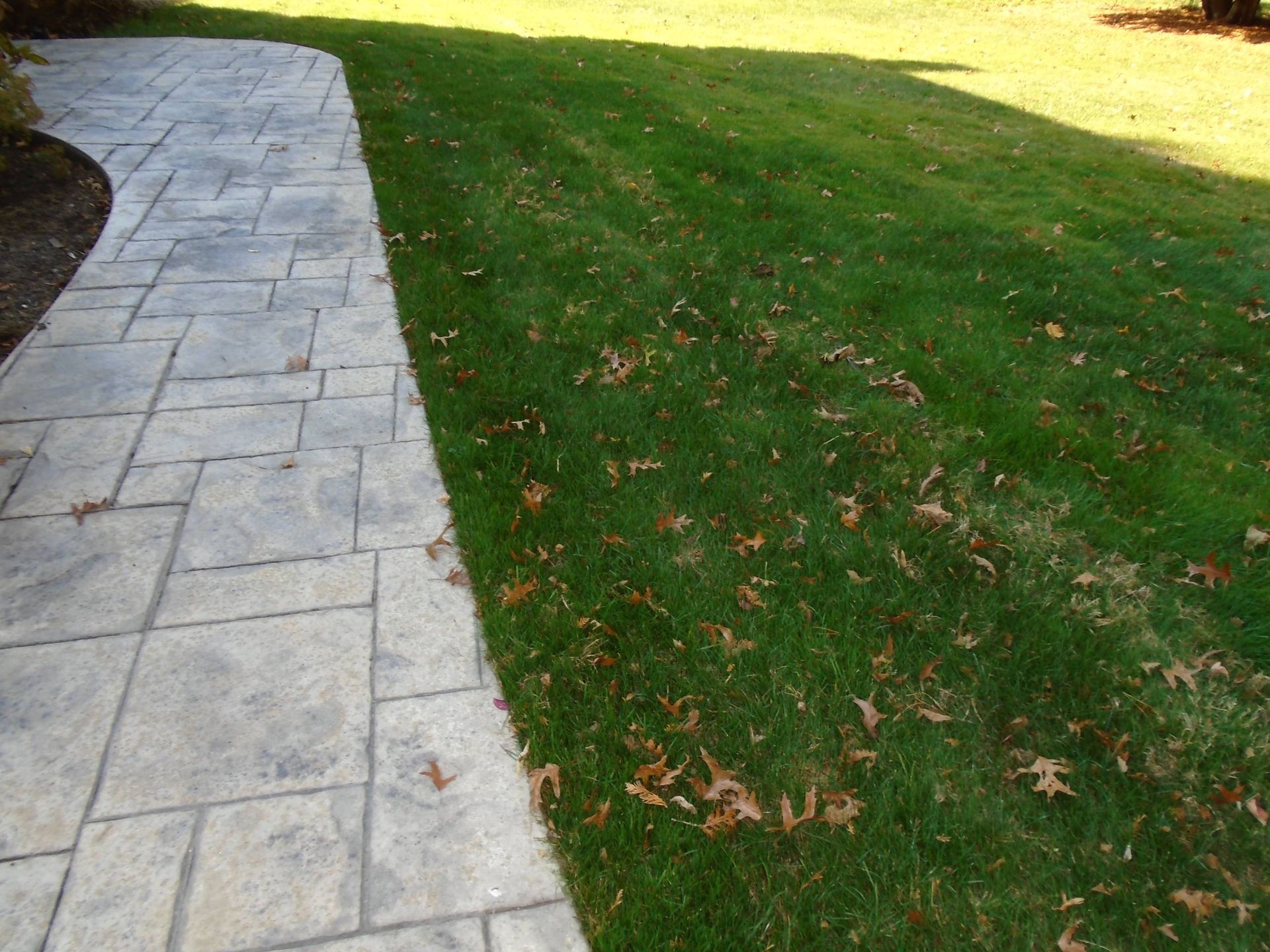 A concrete walkway leading to a lush green lawn