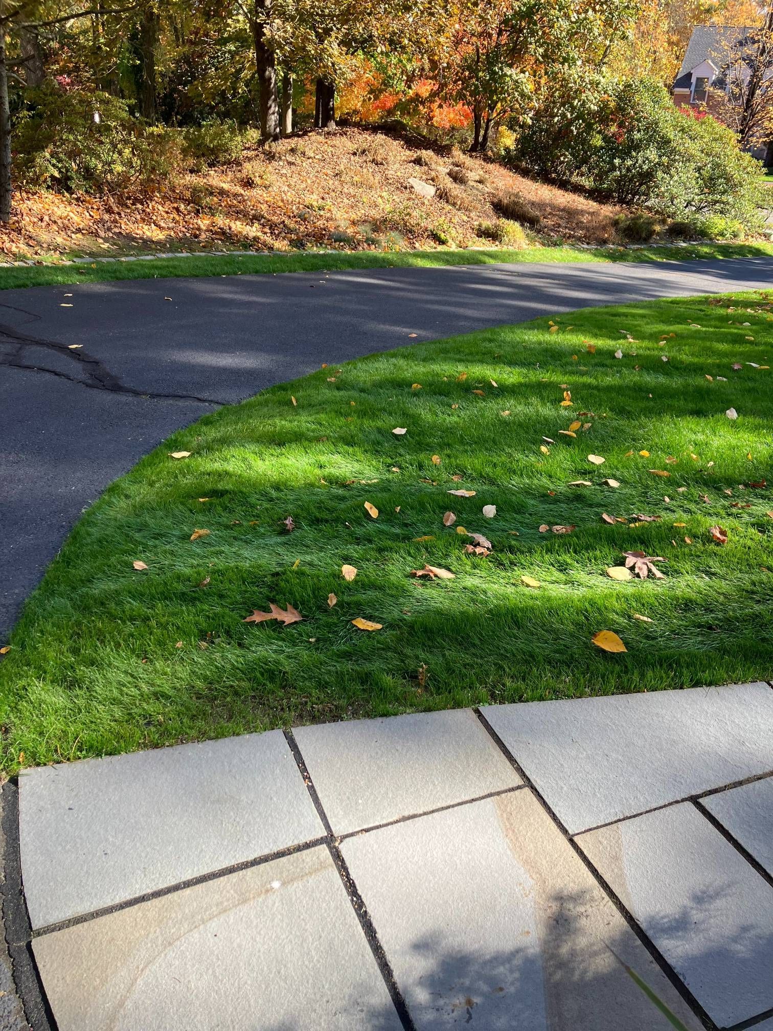 A sidewalk leading to a driveway with a lush green lawn.