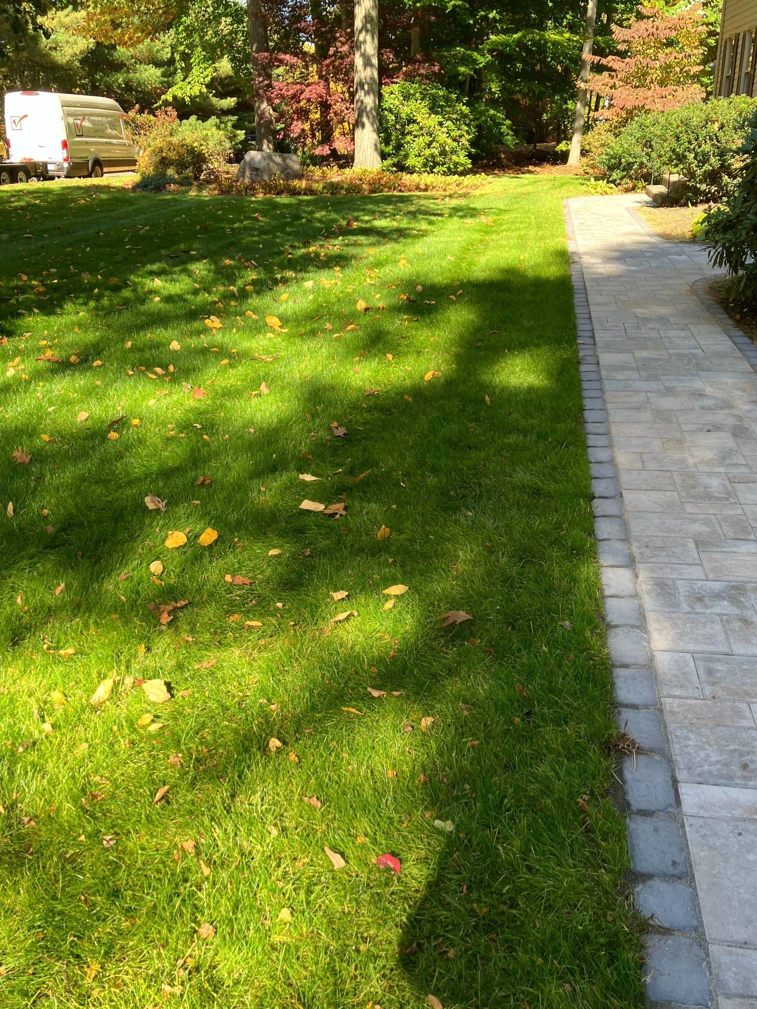 A sidewalk leading to a lush green lawn
