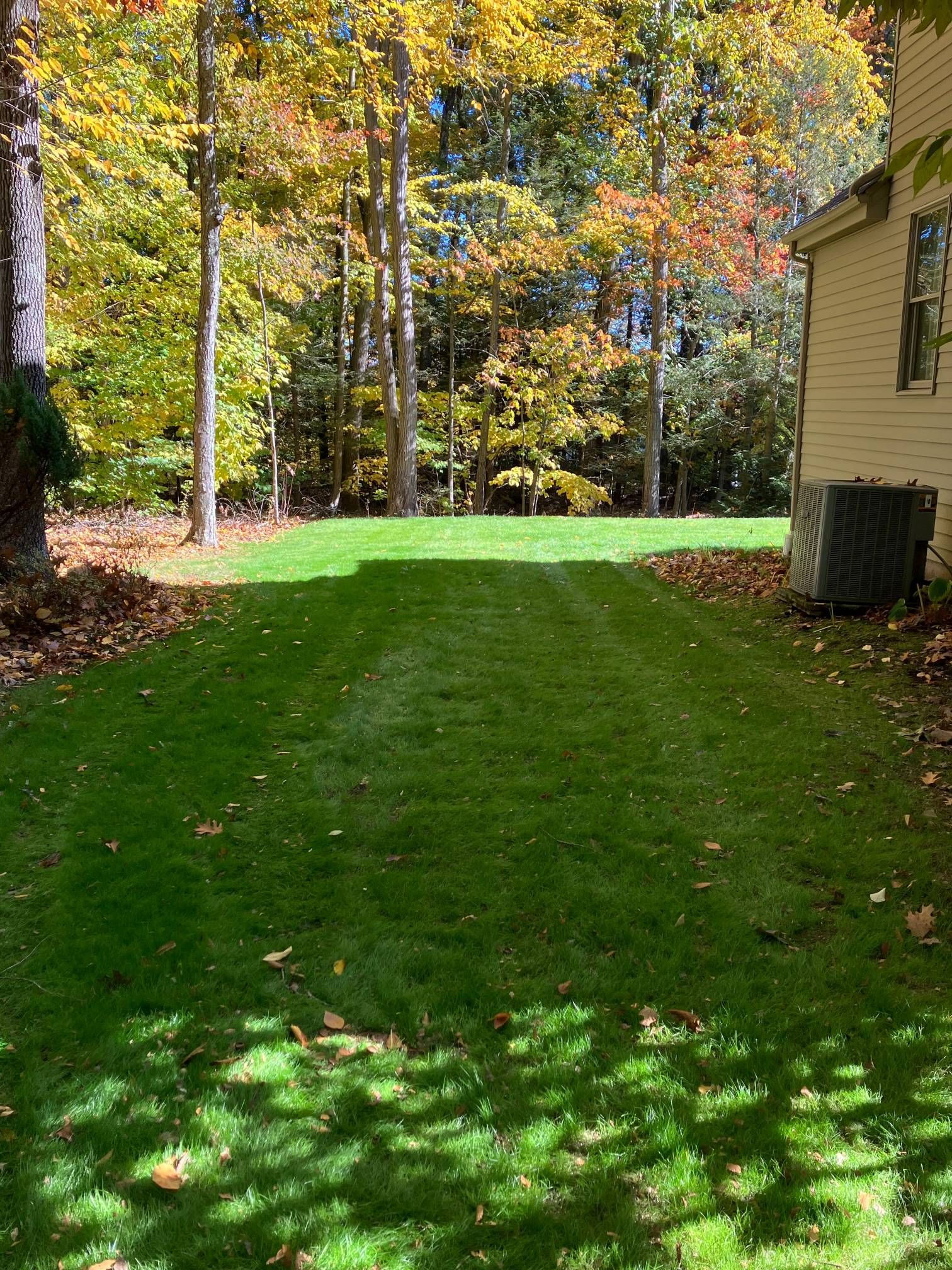 A lush green lawn in front of a house with trees in the background.