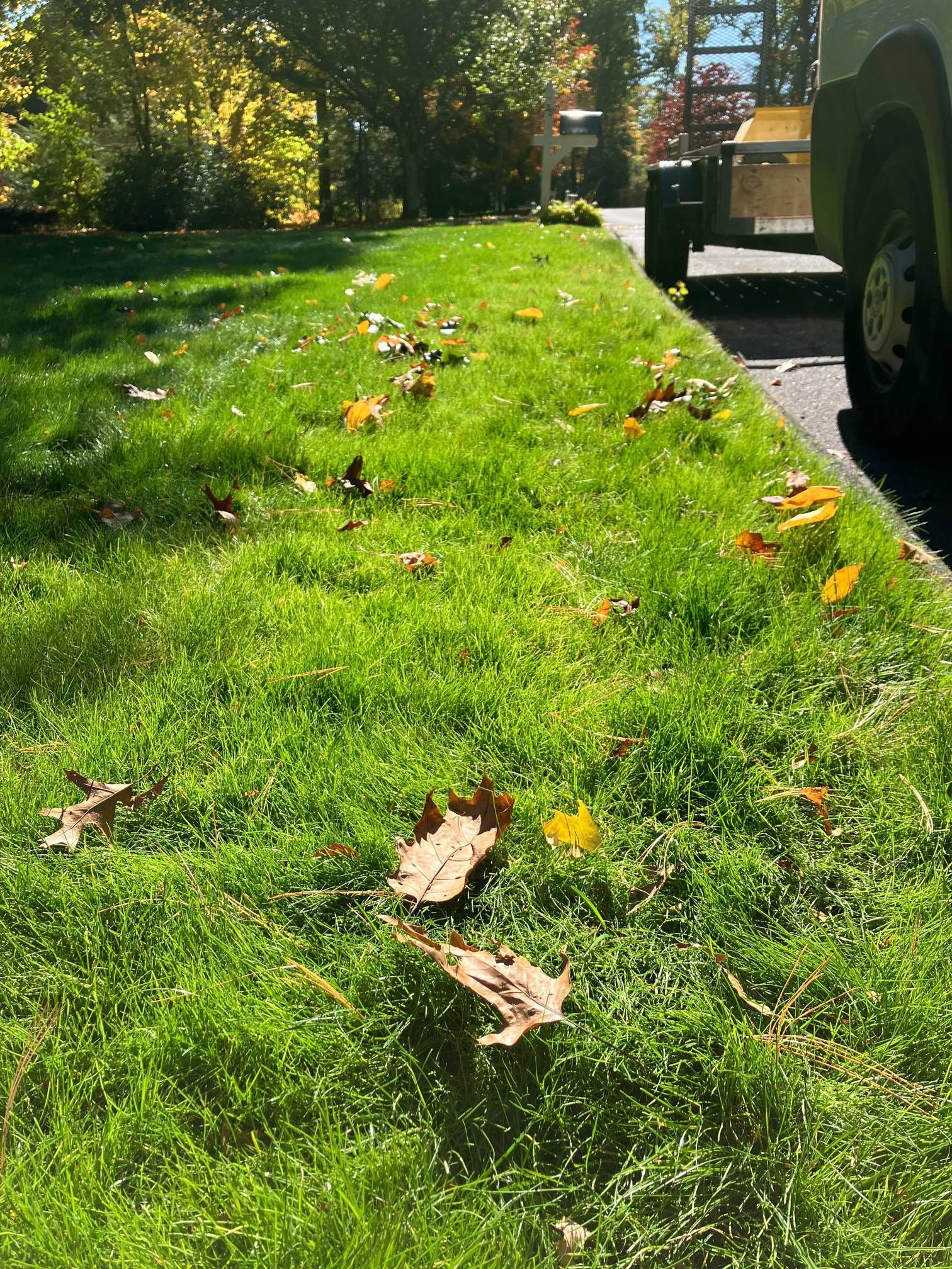 A truck is parked on the side of the road next to a lush green lawn.