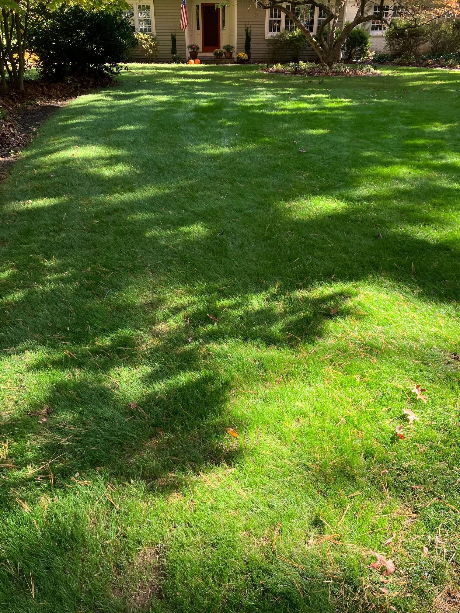 A lush green lawn in front of a house.