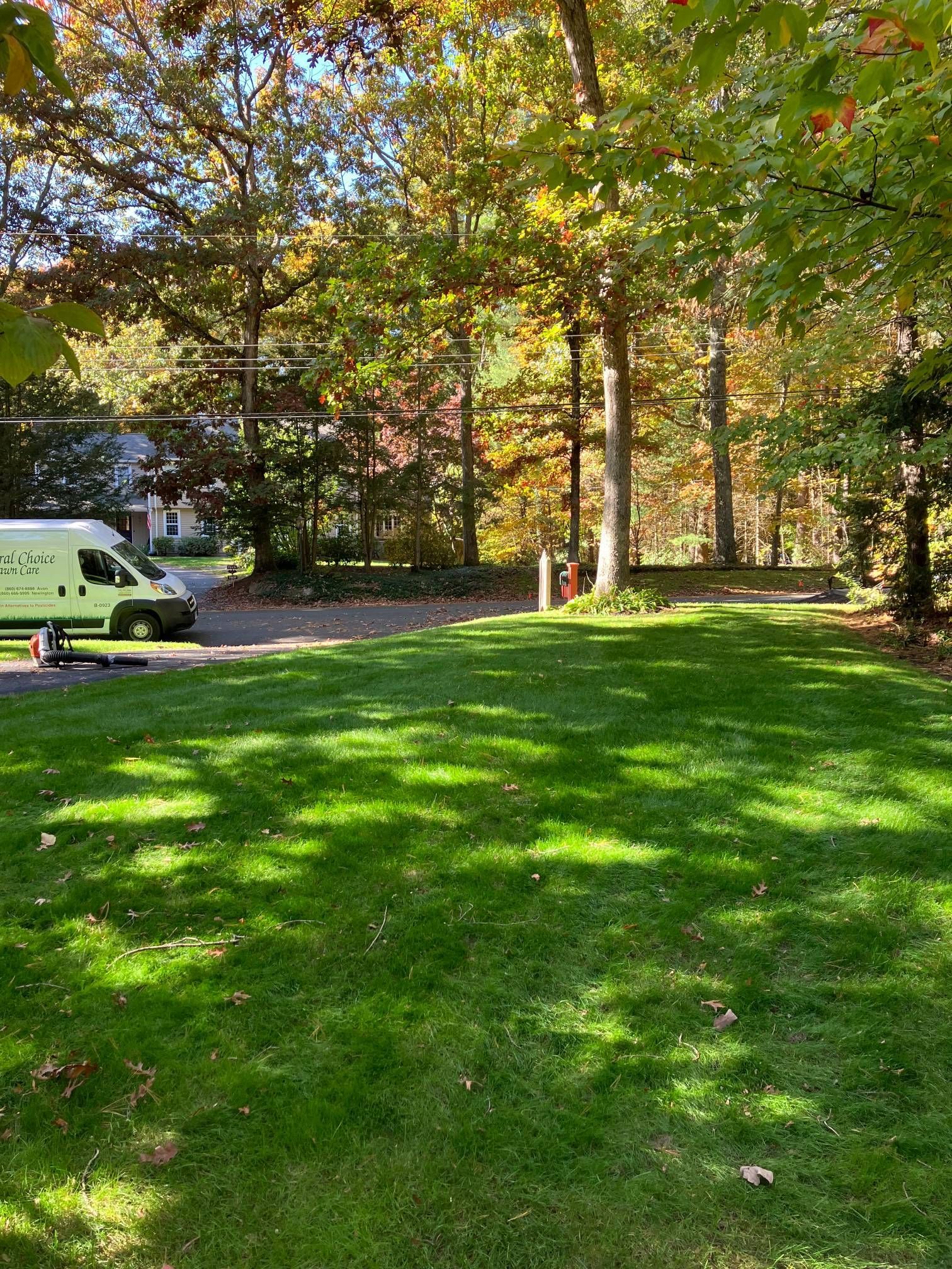 A white van is parked in the middle of a lush green lawn.