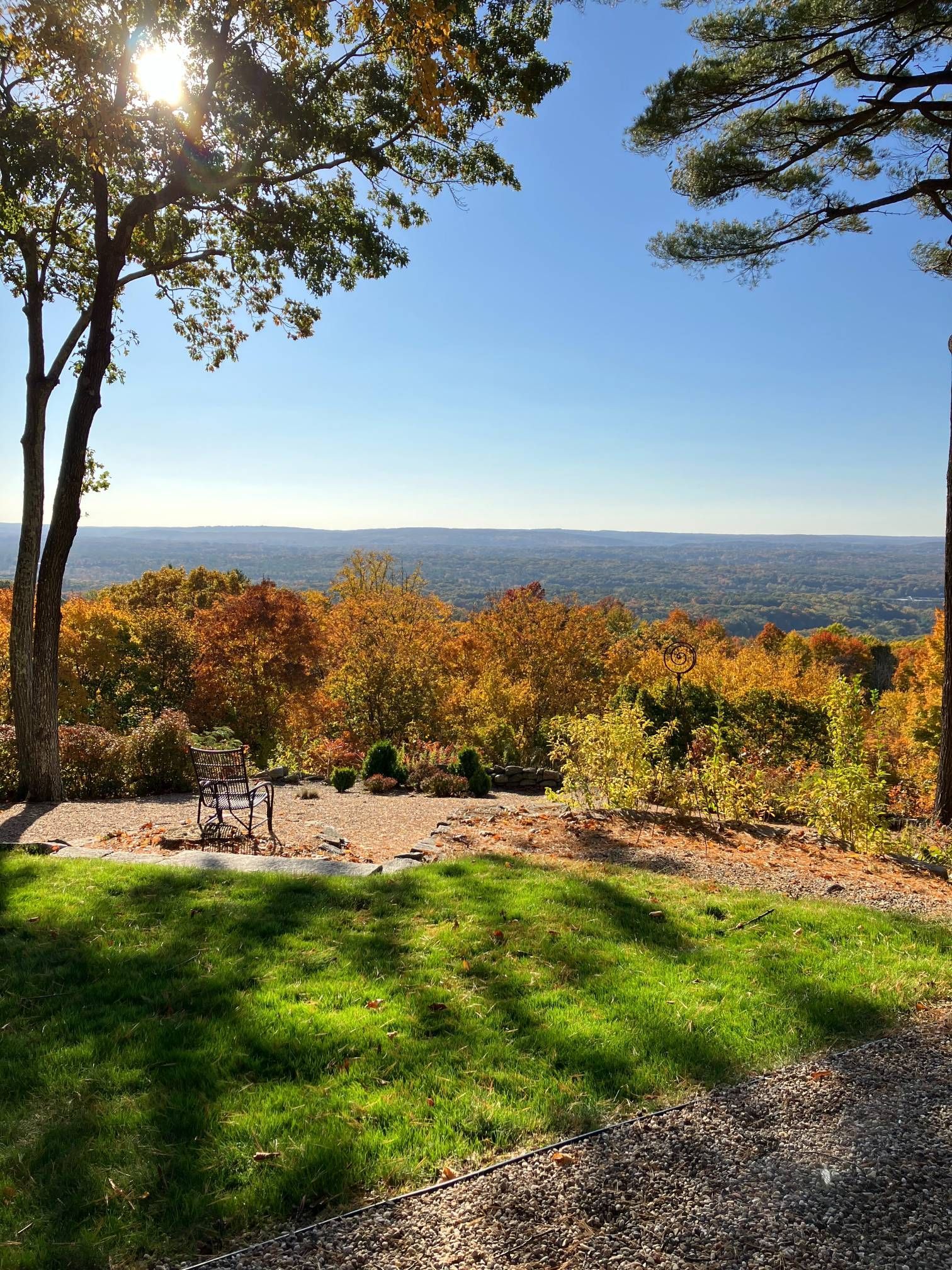 The sun is shining through the trees on a sunny day