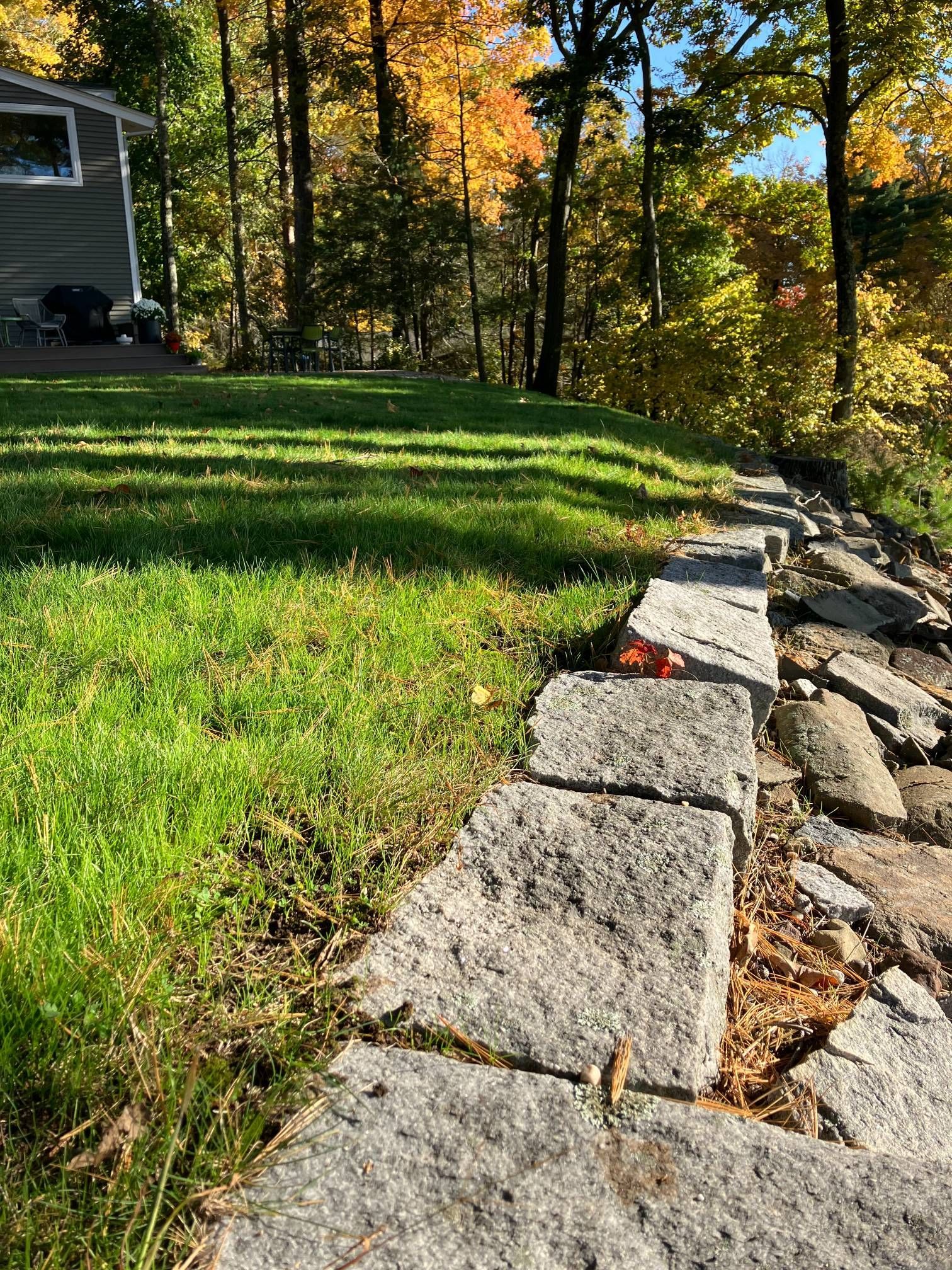 A stone walkway leading to a house in the woods.